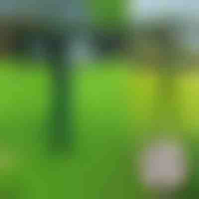 Ултразвуков репелент за животни | SONICFIELD