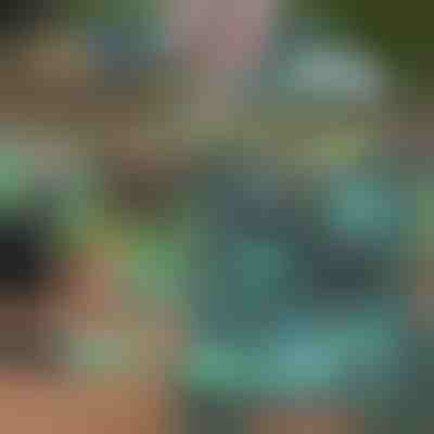 Комплект за градинарство | GARDIKIT