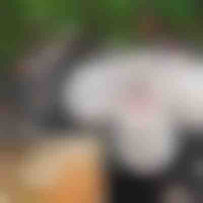 Искрящи коледни топки XMASBALL