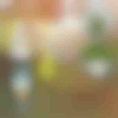 Течен тор за растения | PLANTBOOST