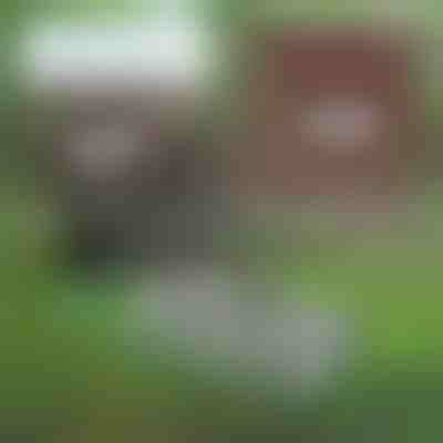 Инструмент за премахване на плевели | PRONGSPRO