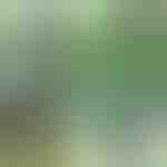 Скоби за растения (14 бр.) | PLANTPIN