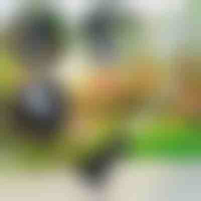 Градински инструмент 3 в 1 | VERSAX