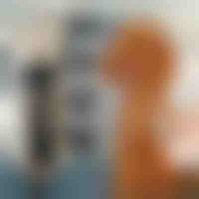 Машинка за подстригване на домашни любимци | GULAMACHINE