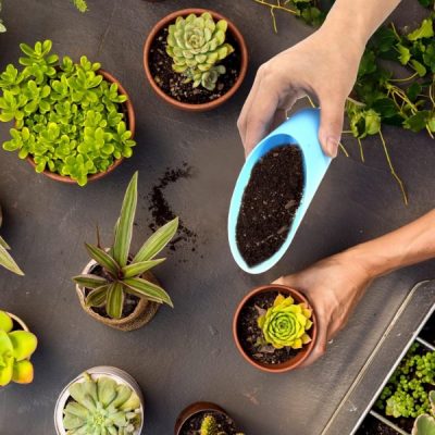 Черпак за почва | SCUP