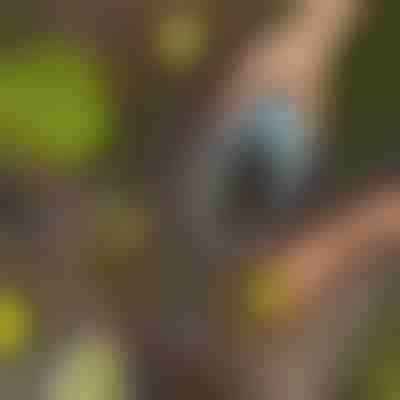 Черпак за почва | SCUP