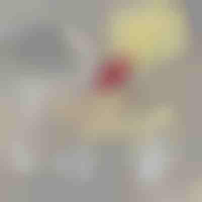 Допълнителен филтър за PETSPRINGLE | SPRINGLEFIL