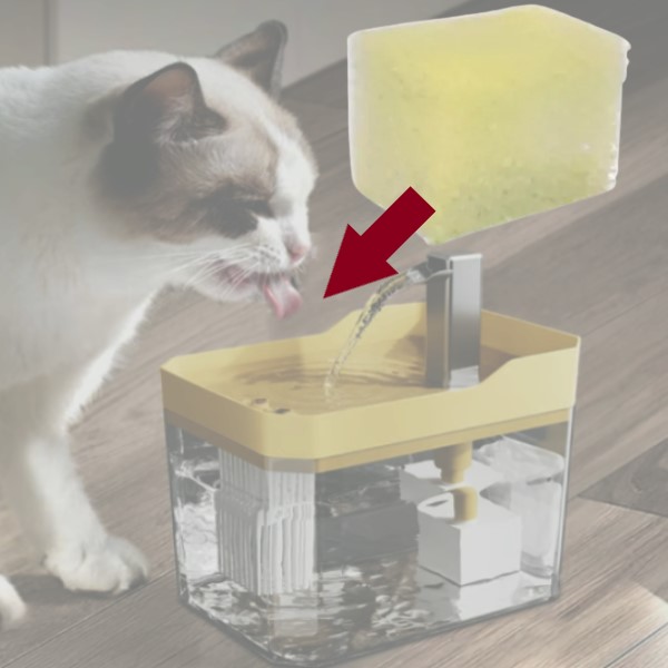 SPRINGLEFIL54926__47463ebb