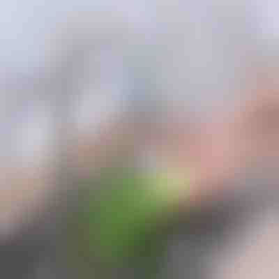 Разширен въглероден филтър за чешмяна вода | CHARFILTER