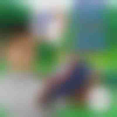 10+10 БЕЗПЛАТНИ дунапренени стрели за BLASTKID | F2OAMBULLETS