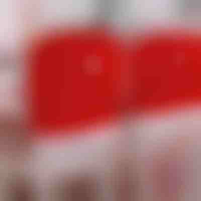 Празнични калъфи за столове 4 бр. | SANTASEAT