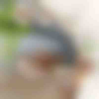 Интерактивна играчка – махаща птица | CHIRRCAT