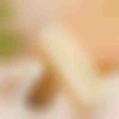 Гумена четка за велур и набук - Статично повдигане, без надраскване | RUBSHOE
