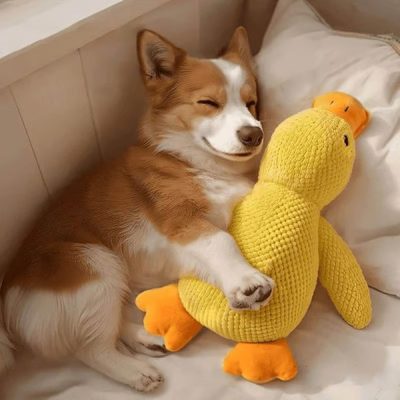 Успокояваща плюшена играчка за кучета с квакащ звук - намалява тревожността при раздяла | CALMQUA